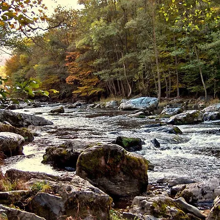 The River's Stones